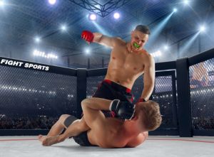 Guia Completo: Como Apostar no MMA em Cassinos Online