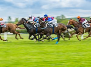 Apostar em Corridas de Cavalos: Um Guia Completo